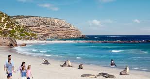 Adelaide Kangaroo Island Tour 2 Days Tour
