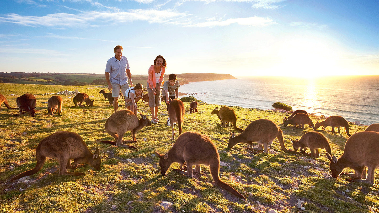 Adelaide Kangaroo Island Tour 2 Days Tour