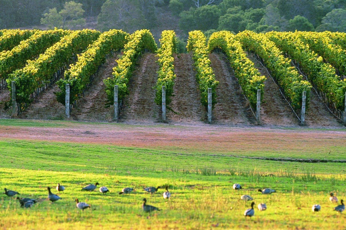 Perth Luxury 5-Day Tour
