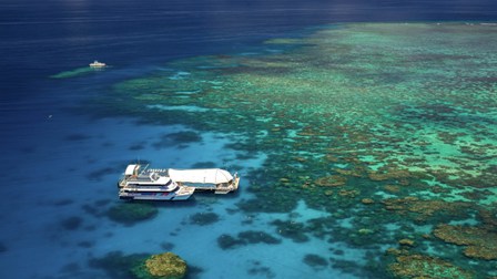Cairns 4-Day Highlights Tour