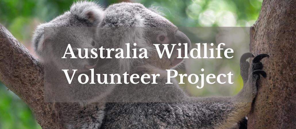 2025 Australia Short-Term Study Tour – 7-Day Immersion Program