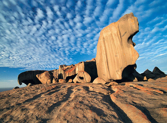 Adelaide Must Go to Natural Scenery Kangaroo Island Day Tour