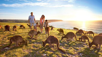 Adelaide Kangaroo Island Tour 2 Days Tour