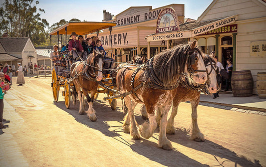 19th Century Gold Rush - Melbourne Gold Mining City Treasure Hunt Day Tour Melbourne Gold Mining City 1 day