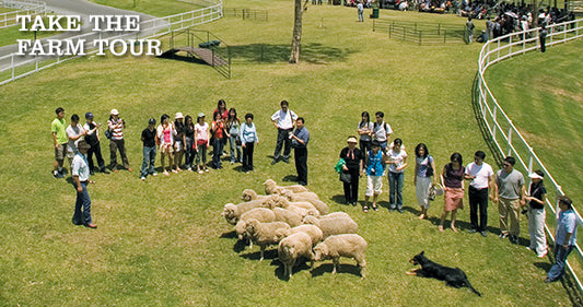 Gold Coast 3-day tour