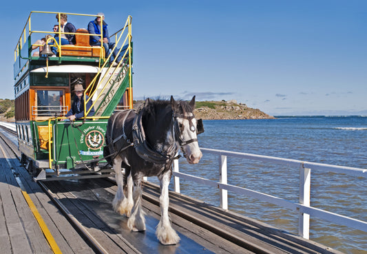 Adelfield Peninsula 1-Day Tour